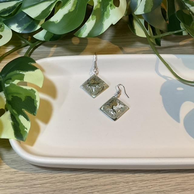 Farbe: Ohrhaken #0577