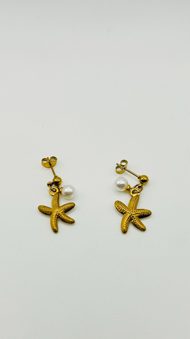 Stainless Steel Earrings (SSE80J)
