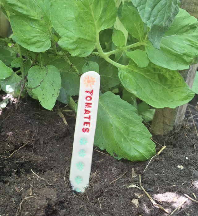 Étiquettes en céramique tomates pour jardin potager