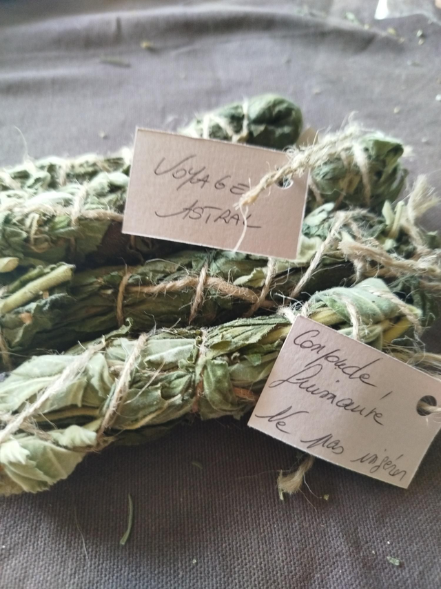 Fumigation voyage astral 