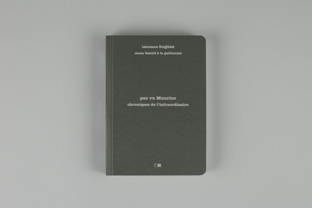 Pas vu Maurice. Chroniques de l'infraordinaire