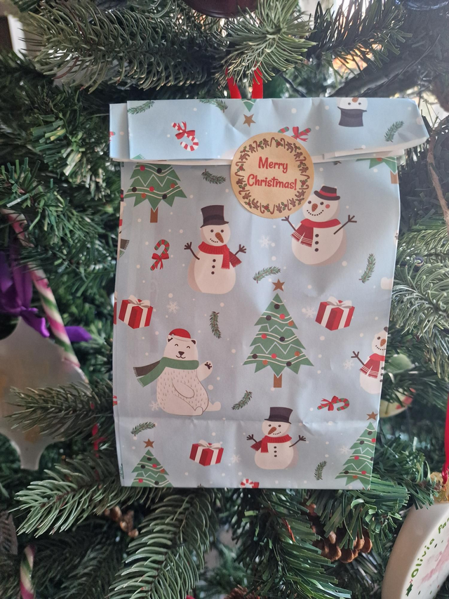 Christmas Dog Treat Bag