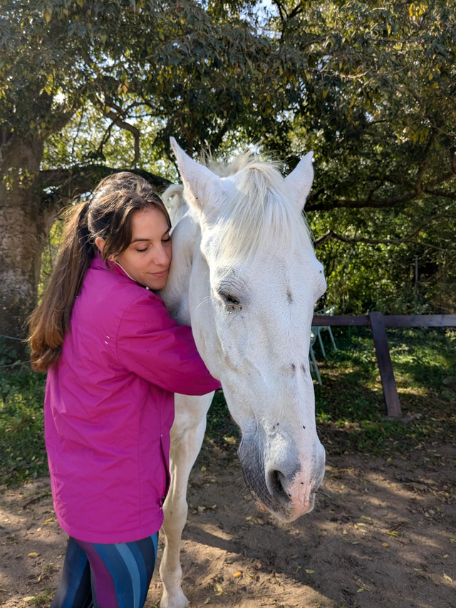 Meditación con caballos
