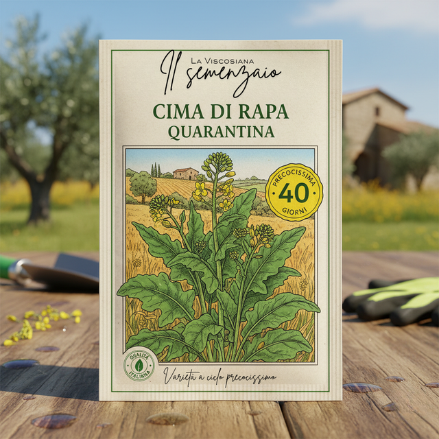 Semi di Cima di Rapa - 40 giorni - 30gr