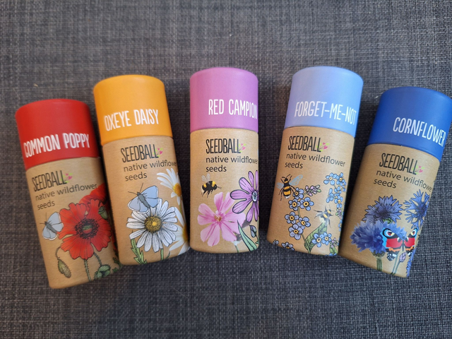 Seedballs - Native wildflowers - Forget me not