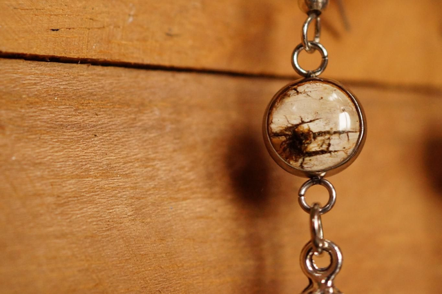 Boucles d'oreilles - Dans les bois - Bouleau