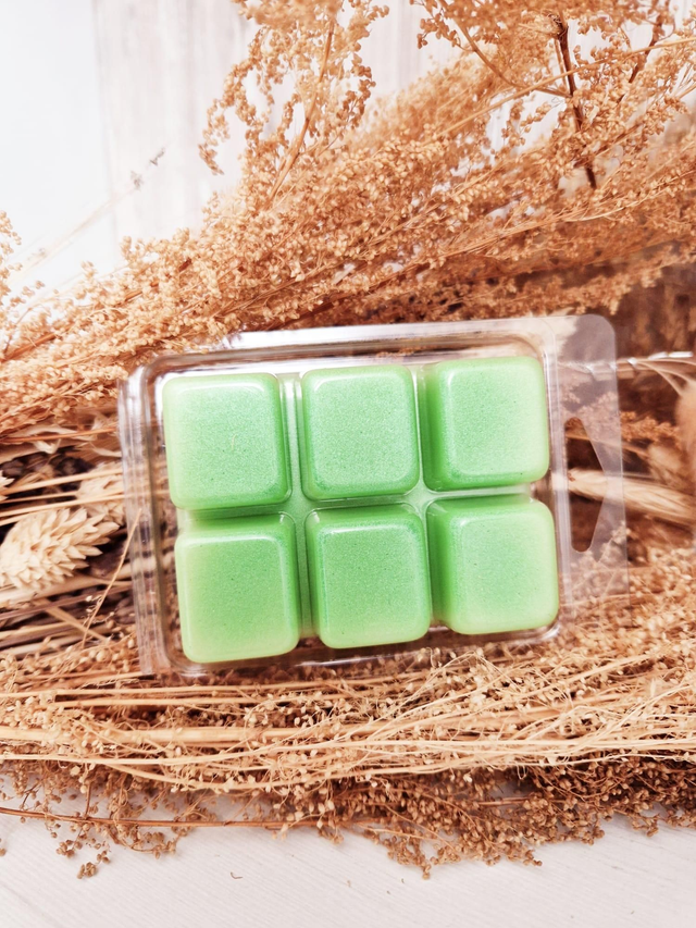 Clamshell tablette Mojito 50g
