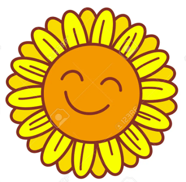 Stick Parfum solide  Bois de Hô et Marjolaine à coquille - Positif et relaxant