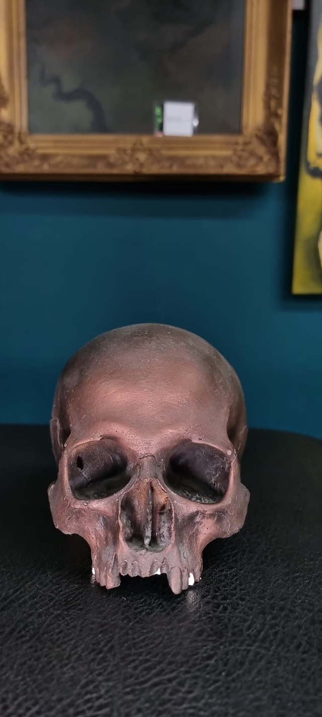 Schädelreplikat bronzefargbig, lebensgross, leichte Abplatzer