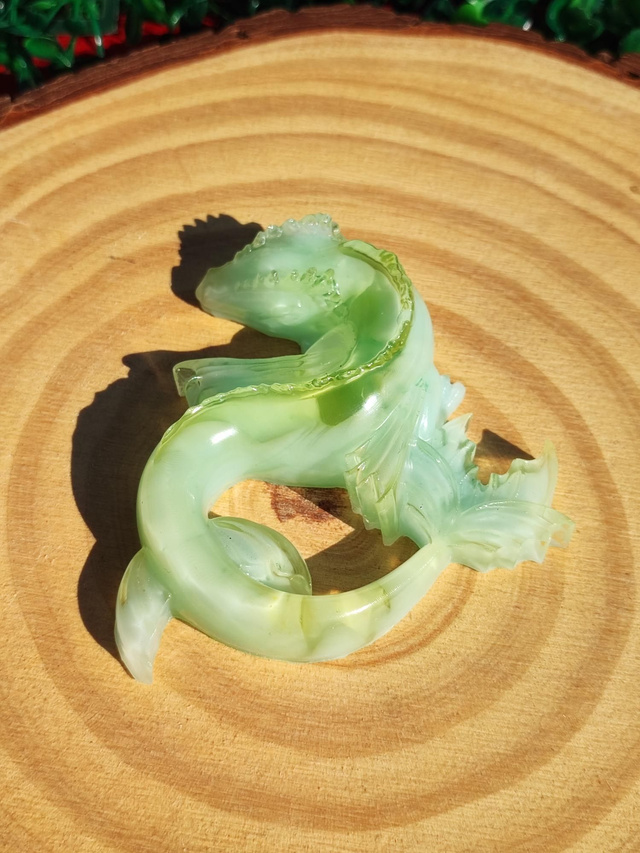 Dragon aquatique 