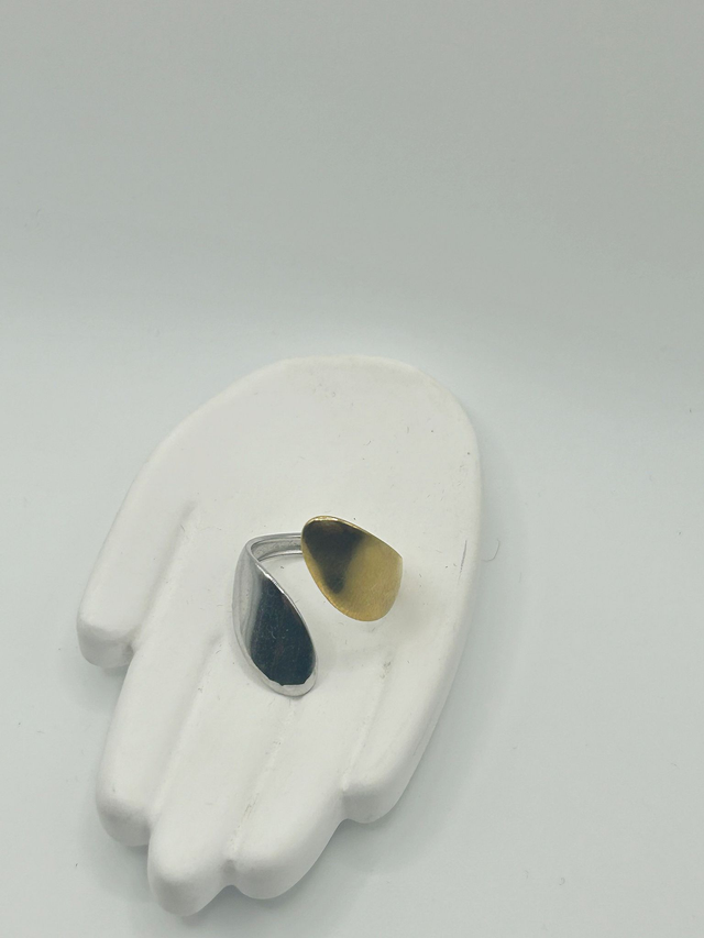 Stainless Steel Ring (SSR31J)