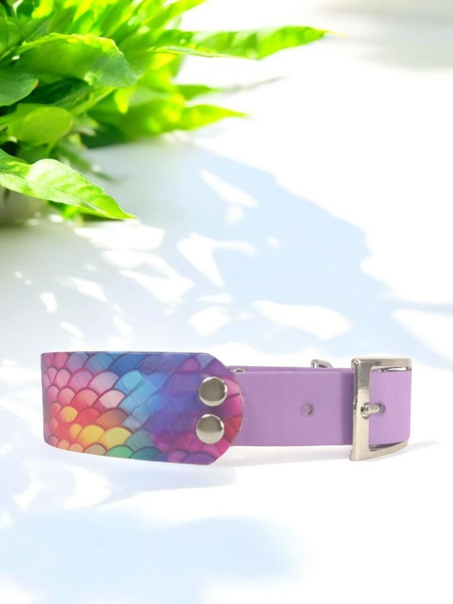 Collier pour chien en BioThane® Original USA. Sirène / Amethiste Orchid     