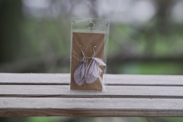 NÁUŠNICE - Křídla vážky