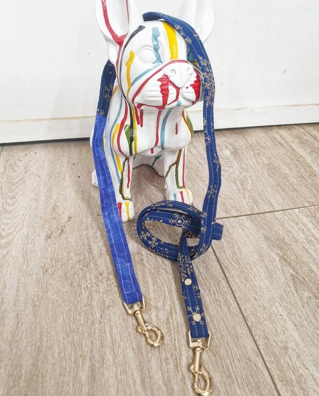 TIP_Laisse15 ◾️Motif Noël 