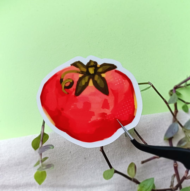 mato mato - transparent sticker 