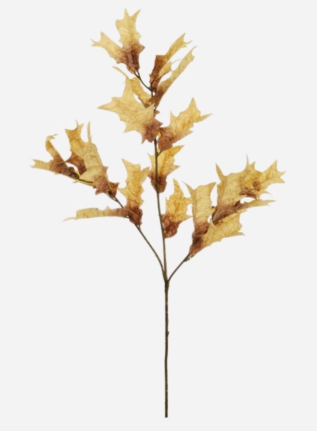 Dried Touch Fall Branch