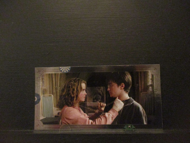 Harry Potter Original Trading Card #50