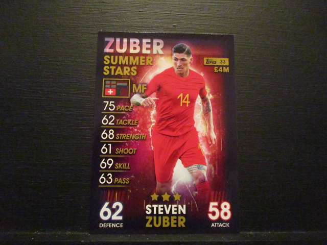 Steven Zuber - Summer Stars Match Attax 101 Original Trading Card