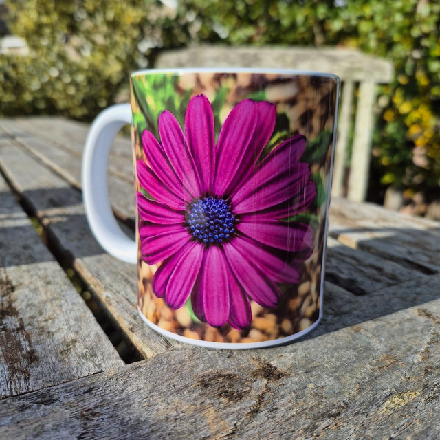 Osteospermum mug
