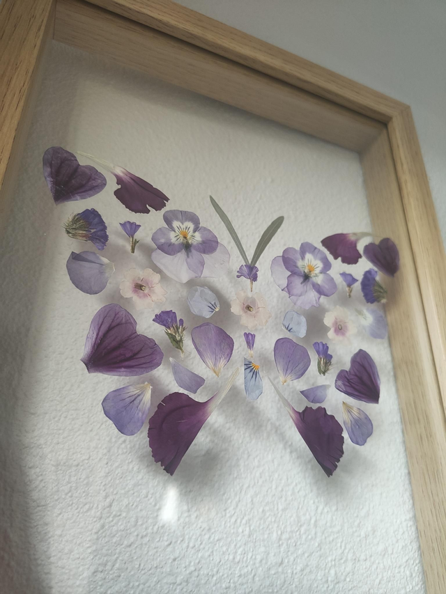 Herbier entre 2 verres