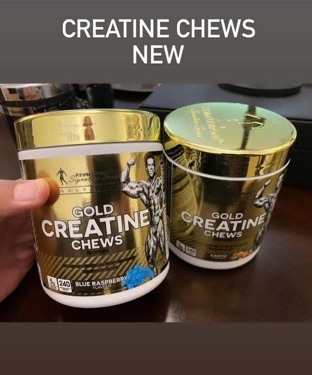 CREATINE GUMMIES (240tabs)