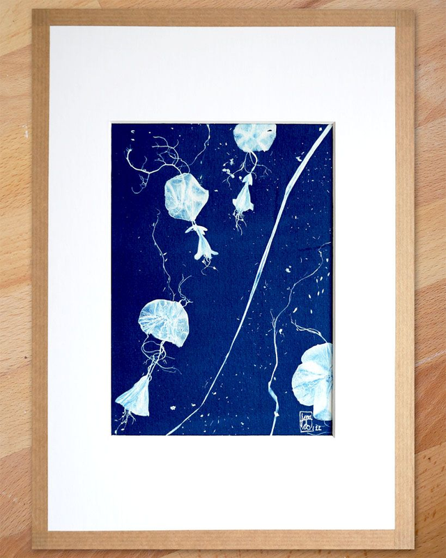 Cyanotype "Hybride en bleu n°8"
