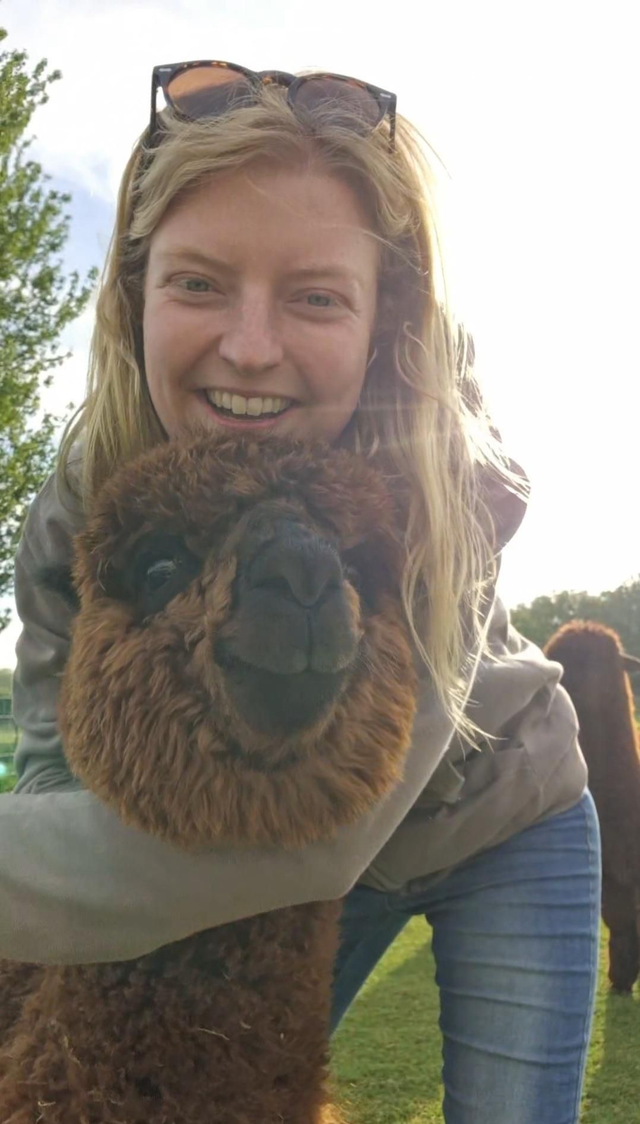 Lucy's Guide To Befriending Your Alpacas