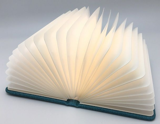 Lampe lecture Led Bleu