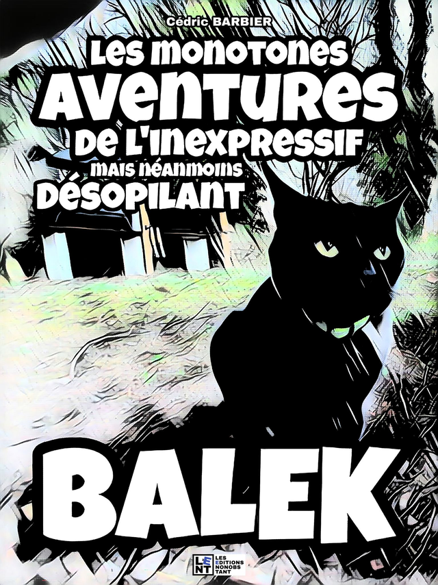 Le livre Les Aventures de Balek