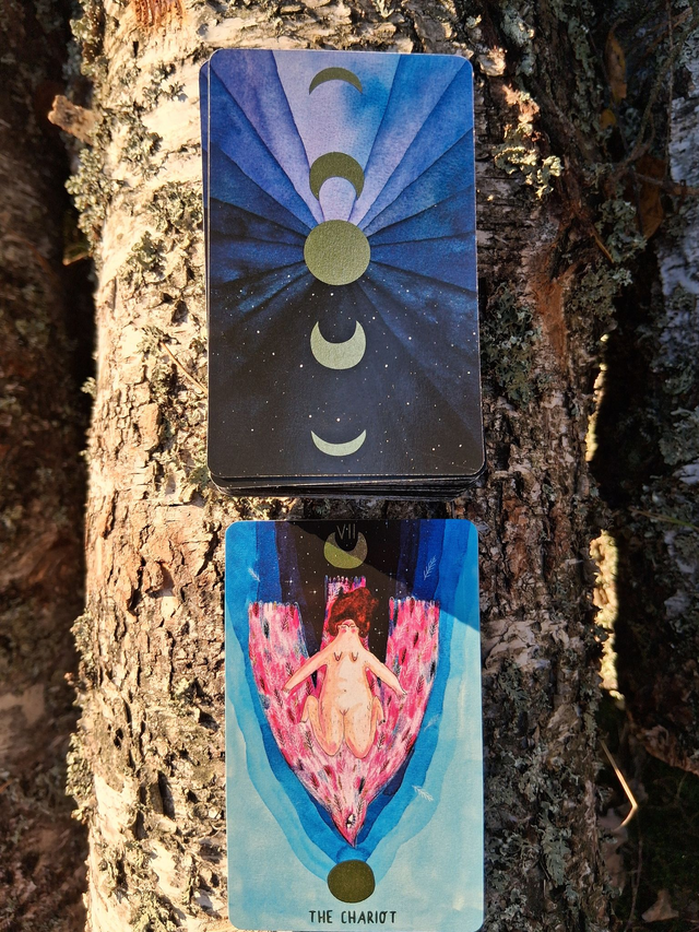 Self Love Tarot: a body-positive Tarot deck * by Hanna Tricoire