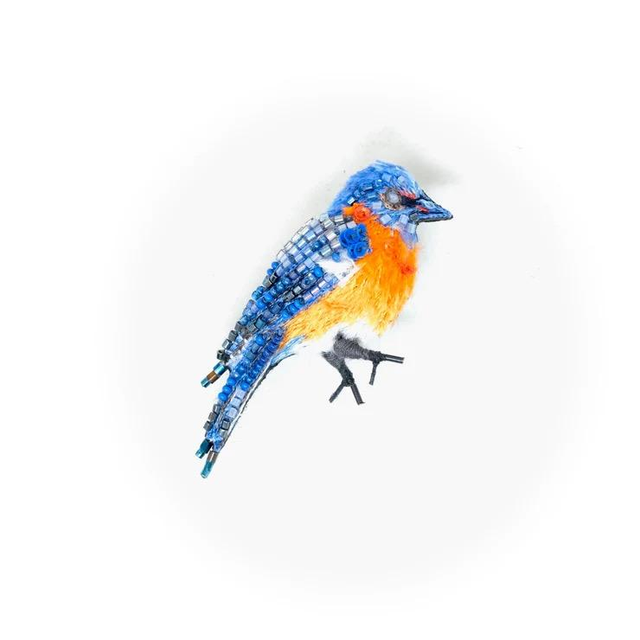 Oiseaux bleu de l'est