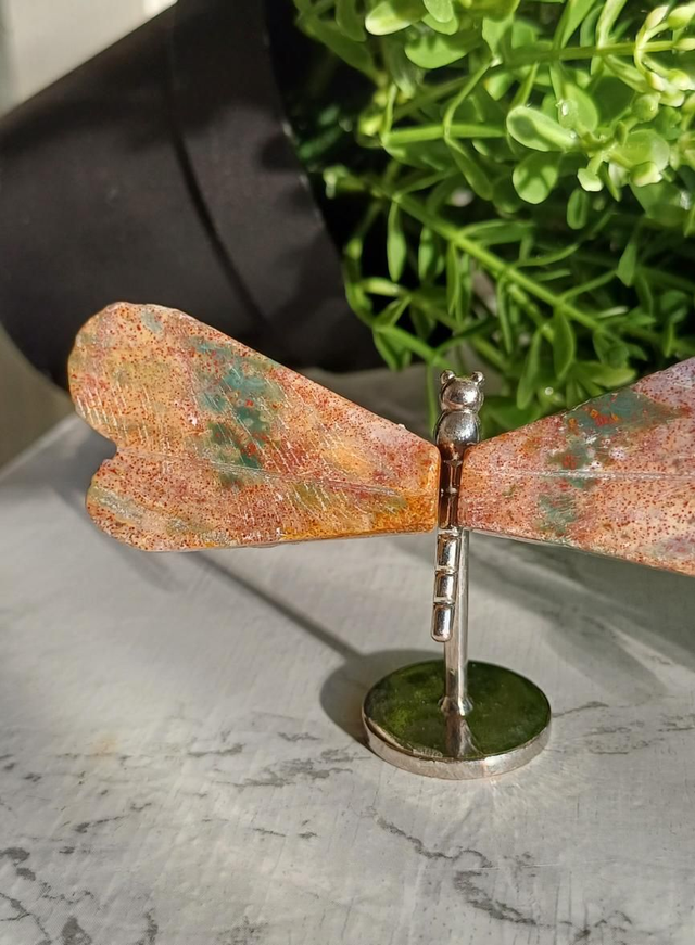 Ocean Jasper Dragonfly