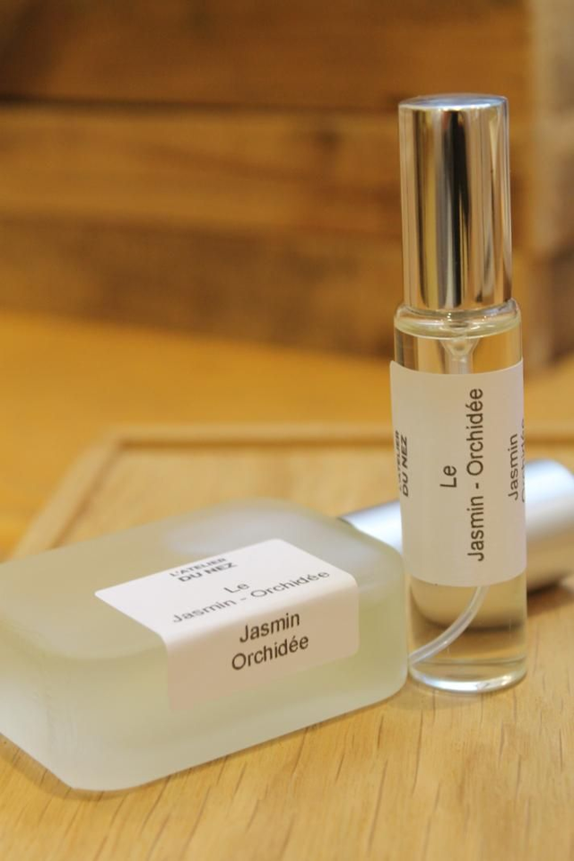 Le Jasmin - Orchidée
