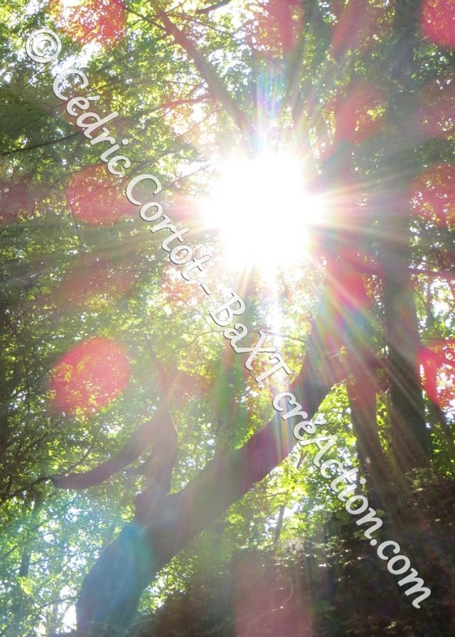 Carte postale - Paysages et divers (Ref IMG_1126)