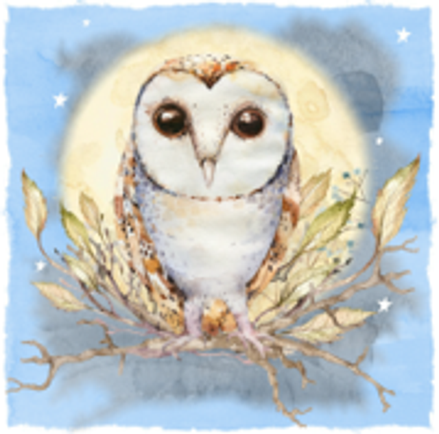 Hand made Cards - Life's a hoot