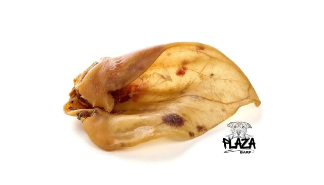 Orecchie di maiale XL