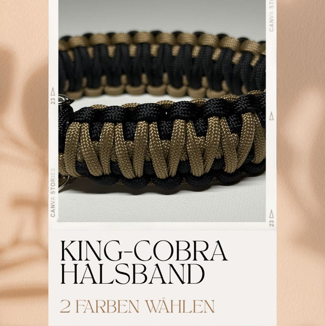 1 | King-Cobra - Create your own Halsband 