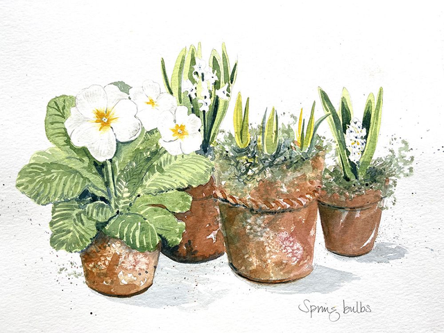 Lights &amp; brights floral 7th Feb 2026 watercolour workshop at Clonterbrook studio 