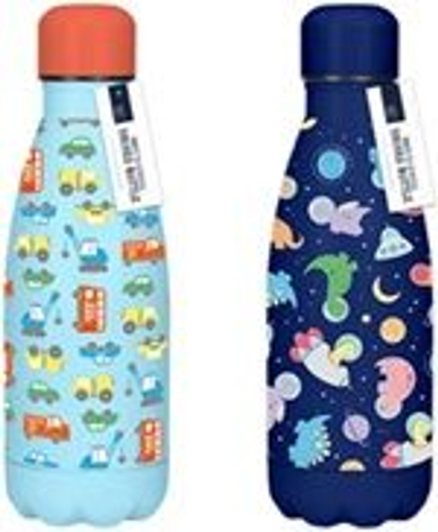 Boys Printed Metal Water Bottle 350ml