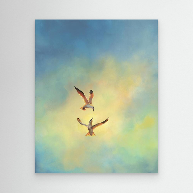 Duet - (Sandwich Terns)