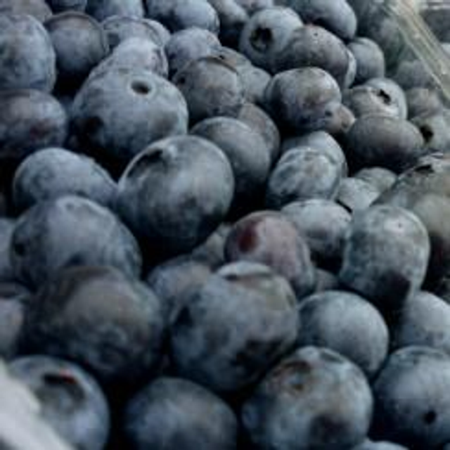 arándanos ecológicos (Galicia)