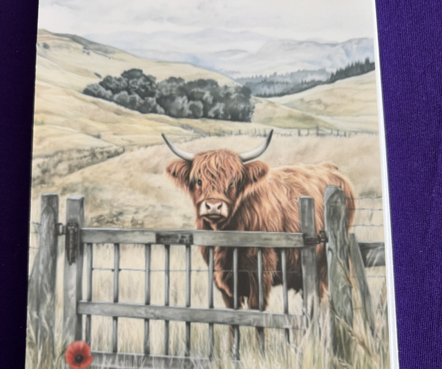 Plain Note Pad Cow Highland at Gate