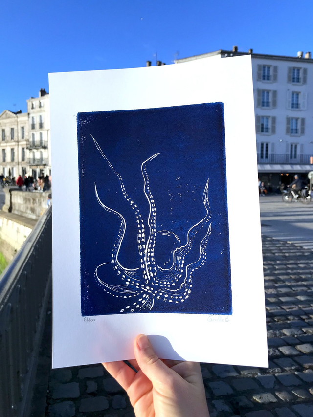 Le poulpe vu du dessus