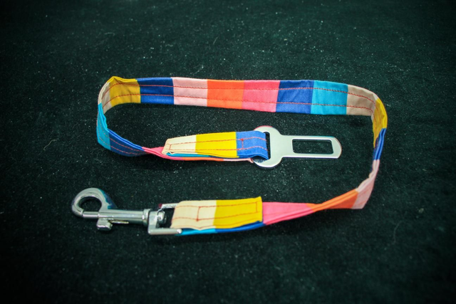 Laisse de Sécurité 