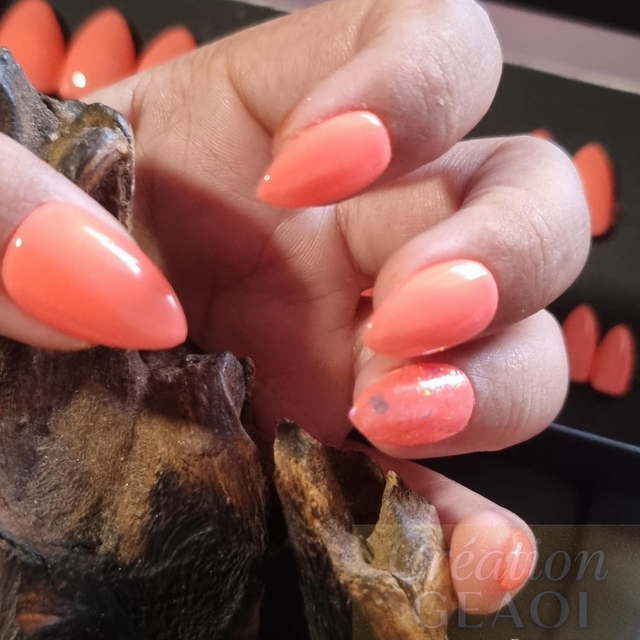 Lovely Pink Corail little Amande xs 