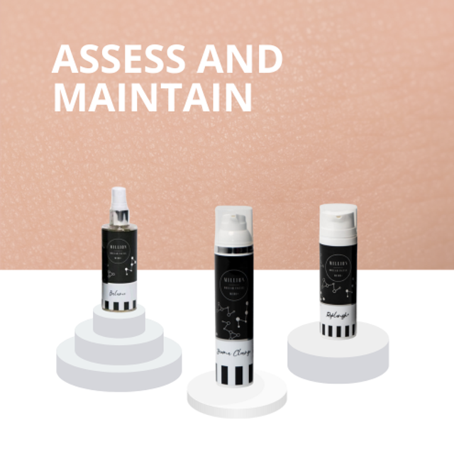 Assess and Maintain Bundle