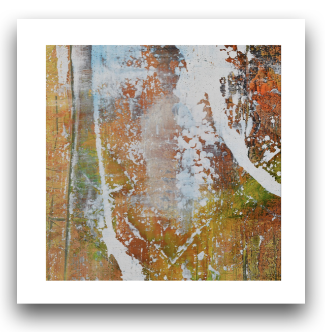 SOUNDS FROM INDIAN NATURE Ed1