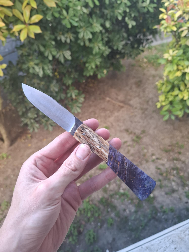 Taurus- Ivoire de Mammouth et bois stabilisé 