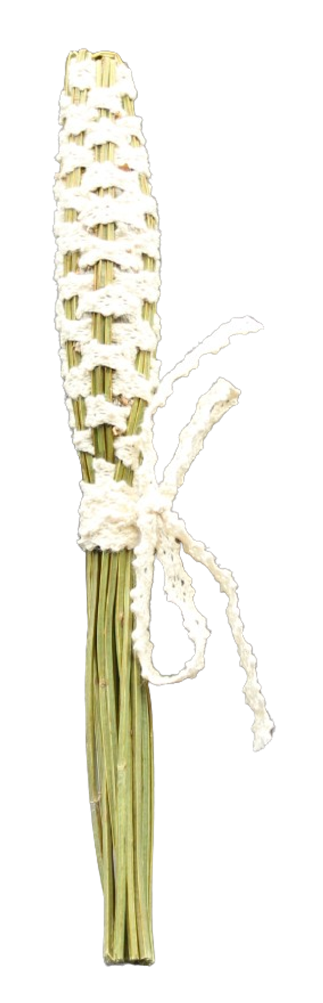 Navettes de Lavande Bio