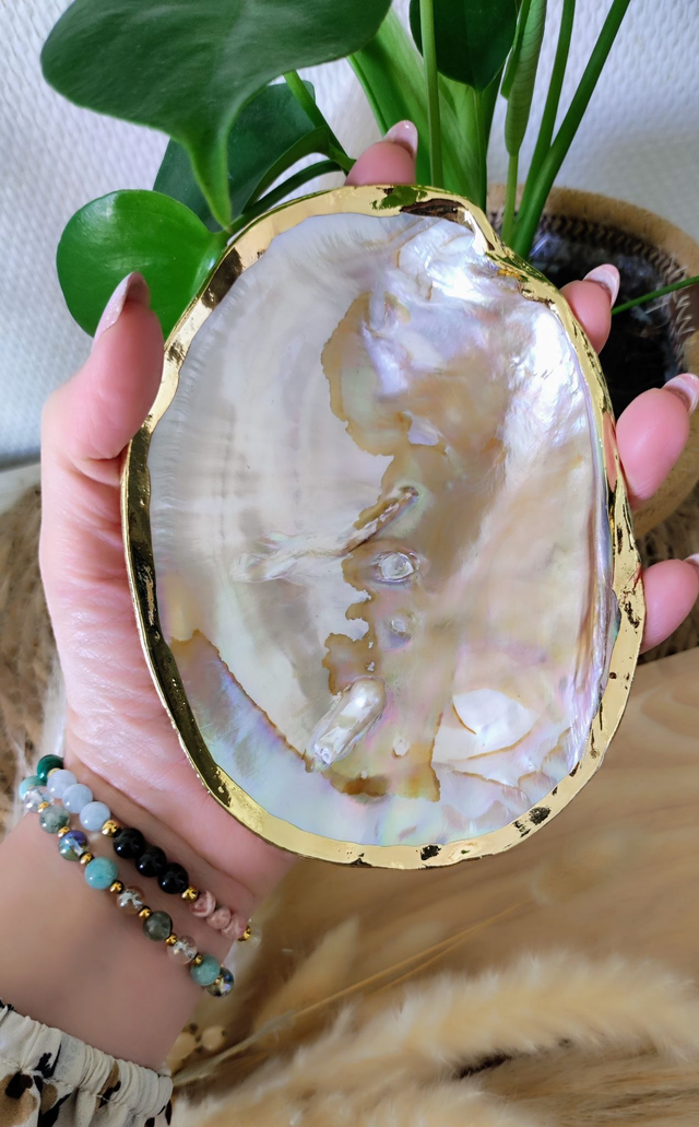 Coquille d'huître perlière doré 